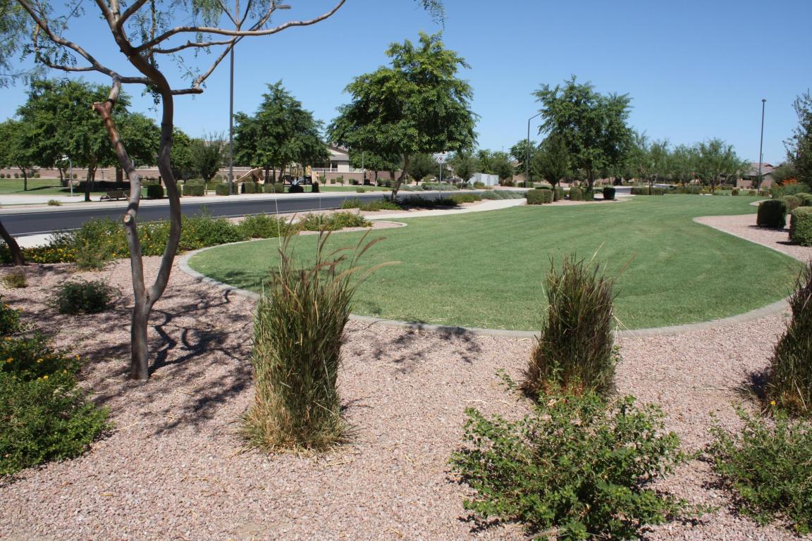 2442 E Plum St, Gilbert, AZ 85298 photo 34