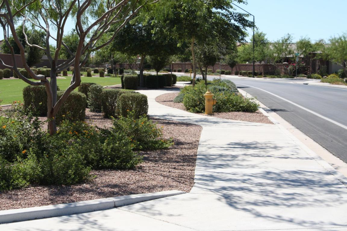 2442 E Plum St, Gilbert, AZ 85298 photo 36