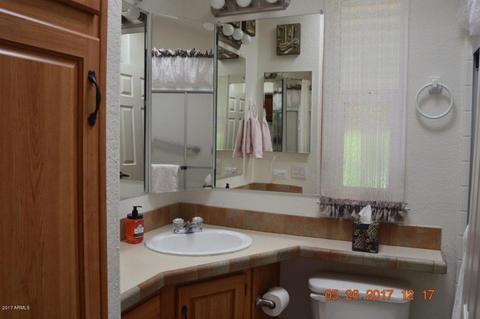 2265 E Hanging Tree Ln, Overgaard, AZ 85933 photo 14