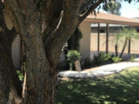 327 W Lawrence Ln, Phoenix, AZ 85021 photo 4