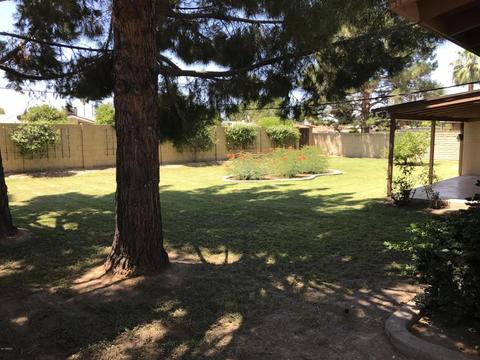 327 W Lawrence Ln, Phoenix, AZ 85021 photo 9