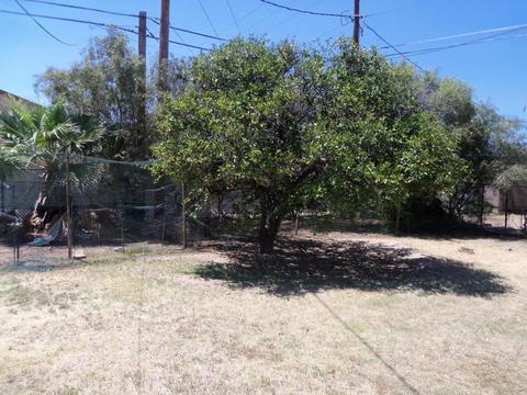 54 E Marilyn Ave, Mesa, AZ 85210 photo 18