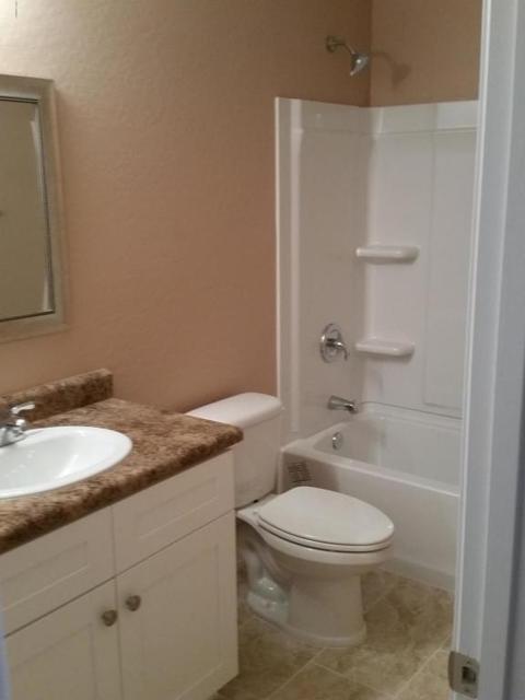 2419 E Tamarisk Ave, Phoenix, AZ 85040 photo 14