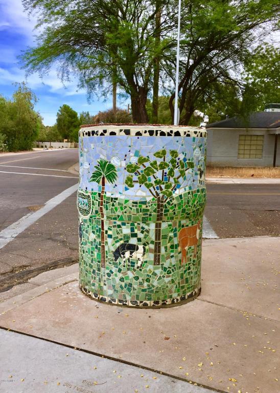 1409 E Orange St, Tempe, AZ 85281 photo 26