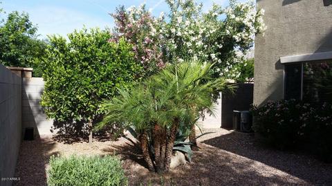 1407 E Hopkins Rd, Gilbert, AZ 85295 photo 29