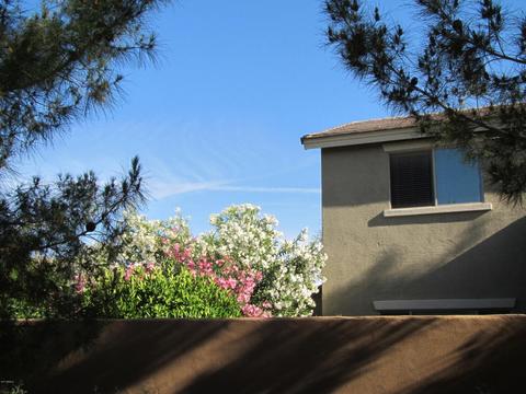 1407 E Hopkins Rd, Gilbert, AZ 85295 photo 32