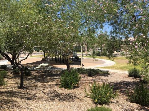 11324 E Roselle Cir, Mesa, AZ 85212 photo 60