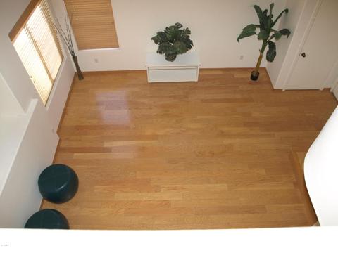 1342 E Helena Dr, Phoenix, AZ 85022 photo 4