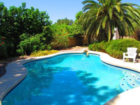 2319 E Jensen St, Mesa, AZ 85213 photo 4