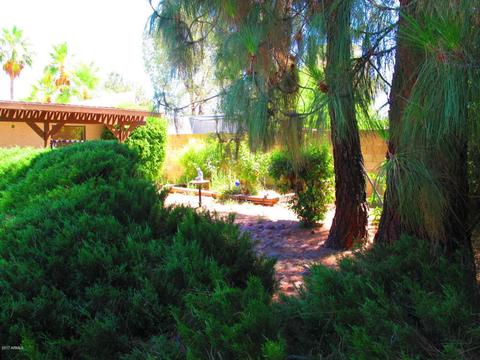 2319 E Jensen St, Mesa, AZ 85213 photo 6