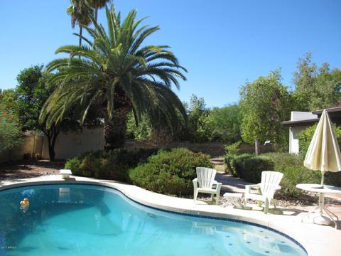 2319 E Jensen St, Mesa, AZ 85213 photo 3