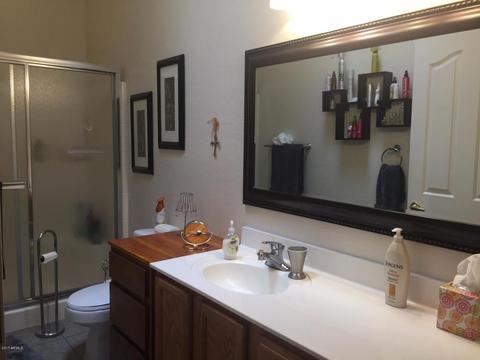 924 S Lawther Dr, Apache Junction, AZ 85120 photo 9