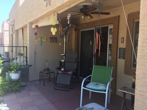 924 S Lawther Dr, Apache Junction, AZ 85120 photo 14