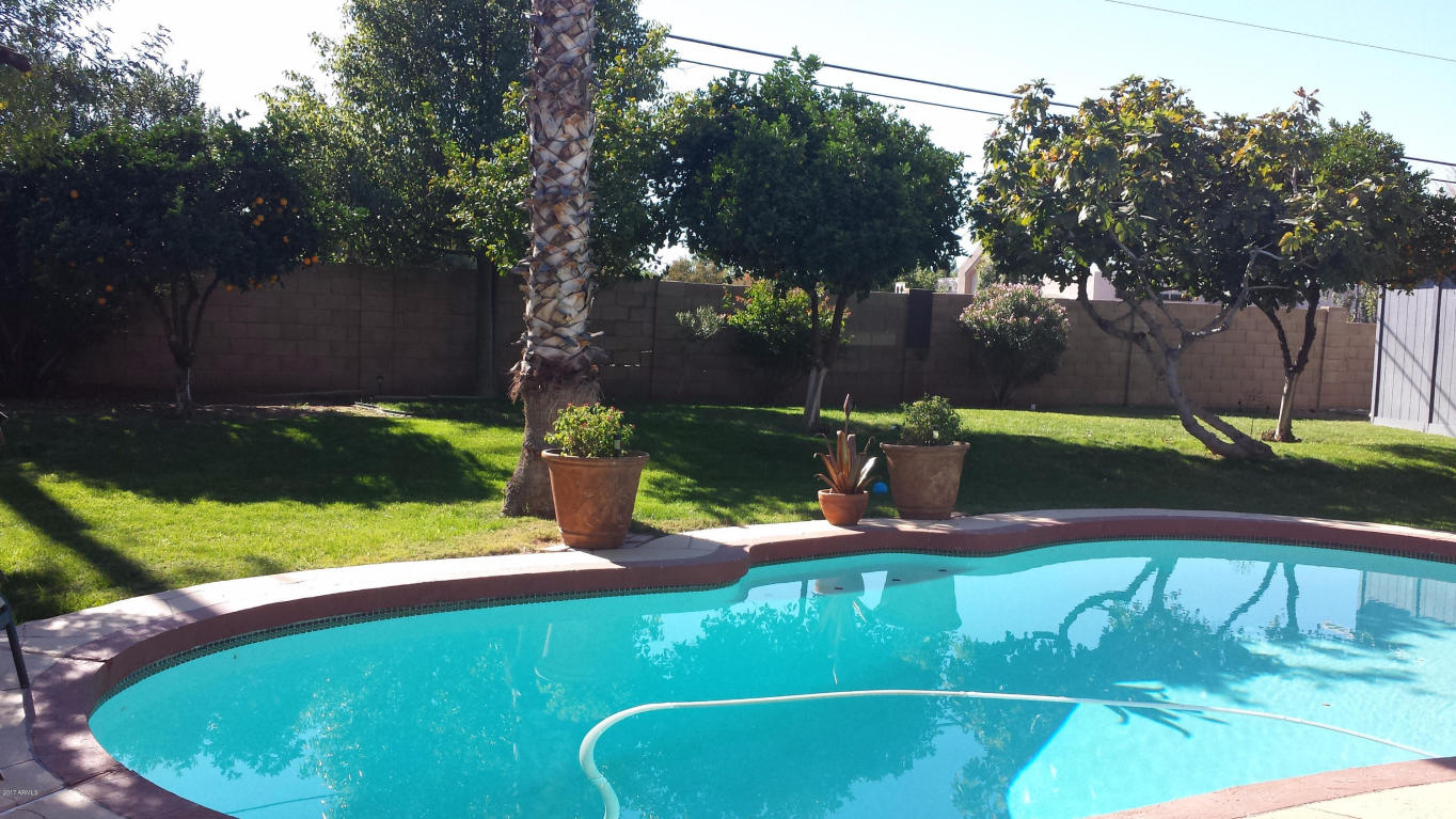 2439 E Jacinto Ave, Mesa, AZ 85204 photo 13