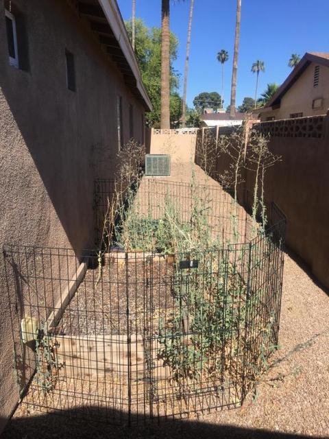 4234 N 35th Pl, Phoenix, AZ 85018 photo 26