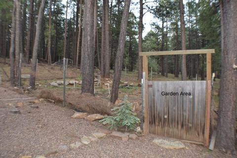 3076 Summer Loop, Forest Lakes, AZ 85931 photo 33