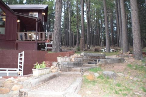 3076 Summer Loop, Forest Lakes, AZ 85931 photo 36