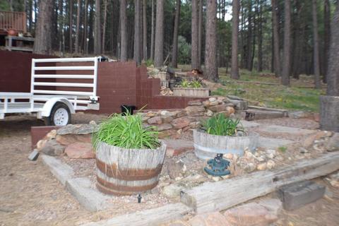 3076 Summer Loop, Forest Lakes, AZ 85931 photo 35