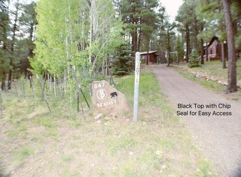 3076 Summer Loop, Forest Lakes, AZ 85931 photo 1