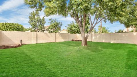4435 E Badger Way, Phoenix, AZ 85044 photo 34