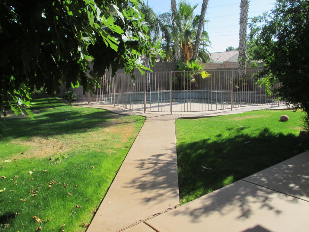 3130 E Rosemonte Dr, Phoenix, AZ 85050 photo 5