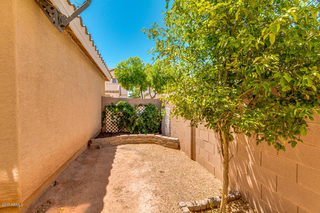 4677 E Olney Ave, Gilbert, AZ 85234 photo 43