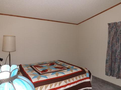 11209 E Mercury Dr, Apache Junction, AZ 85120 photo 28
