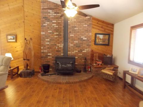 2886 Antelope Trl, Overgaard, AZ 85933 photo 2