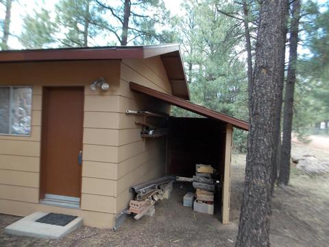2886 Antelope Trl, Overgaard, AZ 85933 photo 26