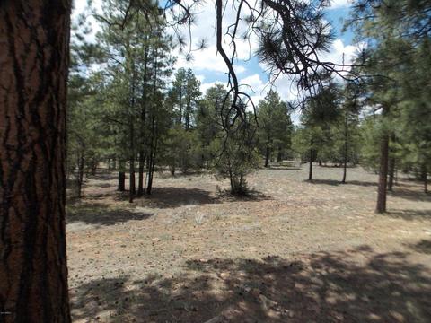 2886 Antelope Trl, Overgaard, AZ 85933 photo 34