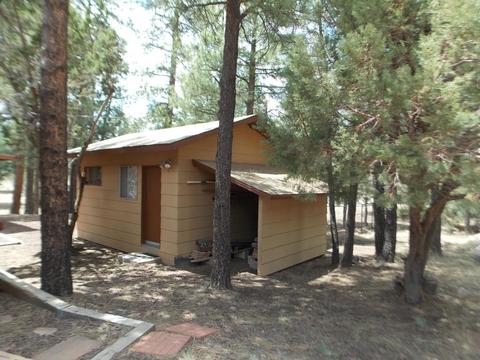 2886 Antelope Trl, Overgaard, AZ 85933 photo 29