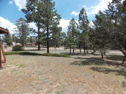 2886 Antelope Trl, Overgaard, AZ 85933 photo 33