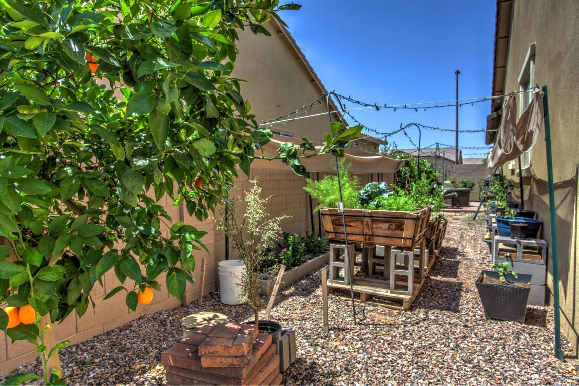 1109 E Bajor St, Gilbert, AZ 85298 photo 34