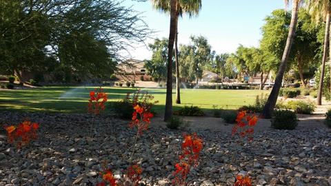 130 E Lowell Ave, Gilbert, AZ 85295 photo 42
