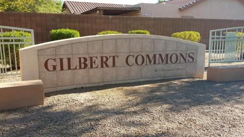 130 E Lowell Ave, Gilbert, AZ 85295 photo 44