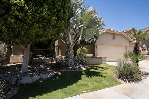 1712 E Beaubien Dr, Phoenix, AZ 85024 photo 4