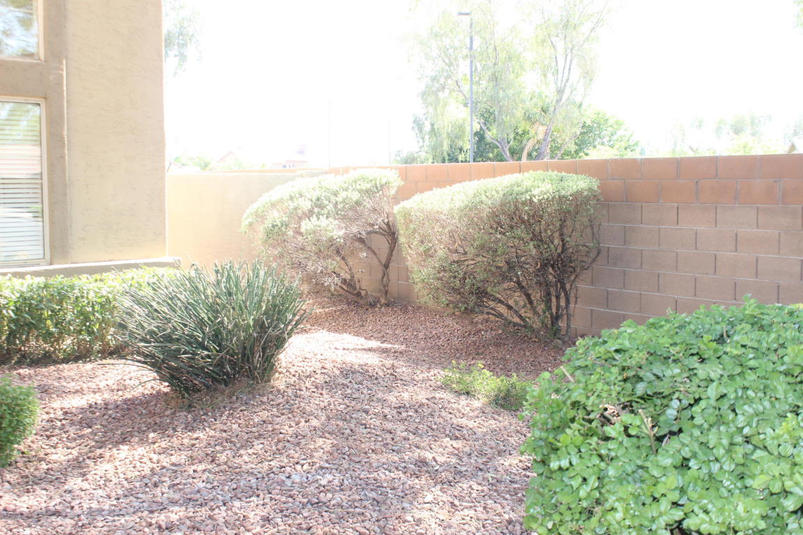 1011 E Baylor Ln, Gilbert, AZ 85296 photo 5