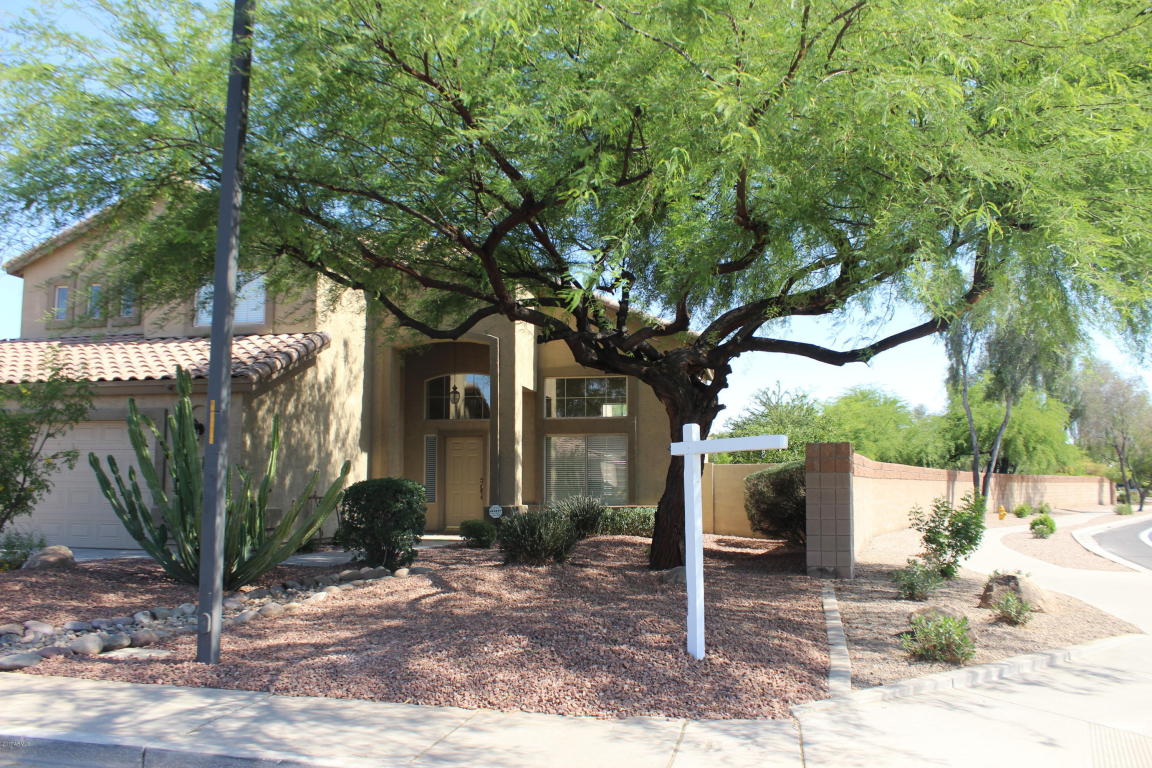 1011 E Baylor Ln, Gilbert, AZ 85296 photo 3