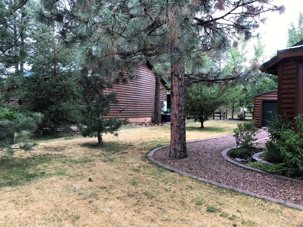 2654 Lodge Loop, Overgaard, AZ 85933 photo 23