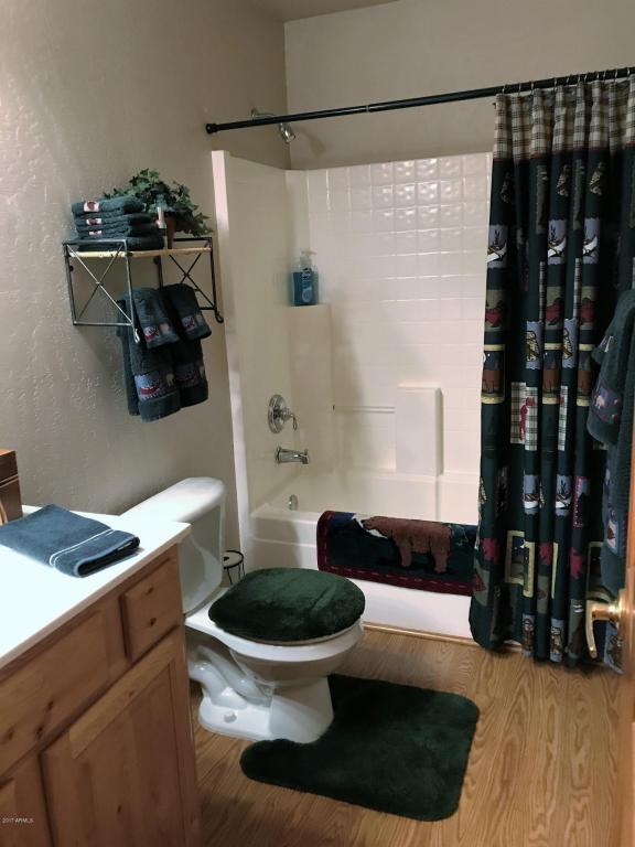 2654 Lodge Loop, Overgaard, AZ 85933 photo 19