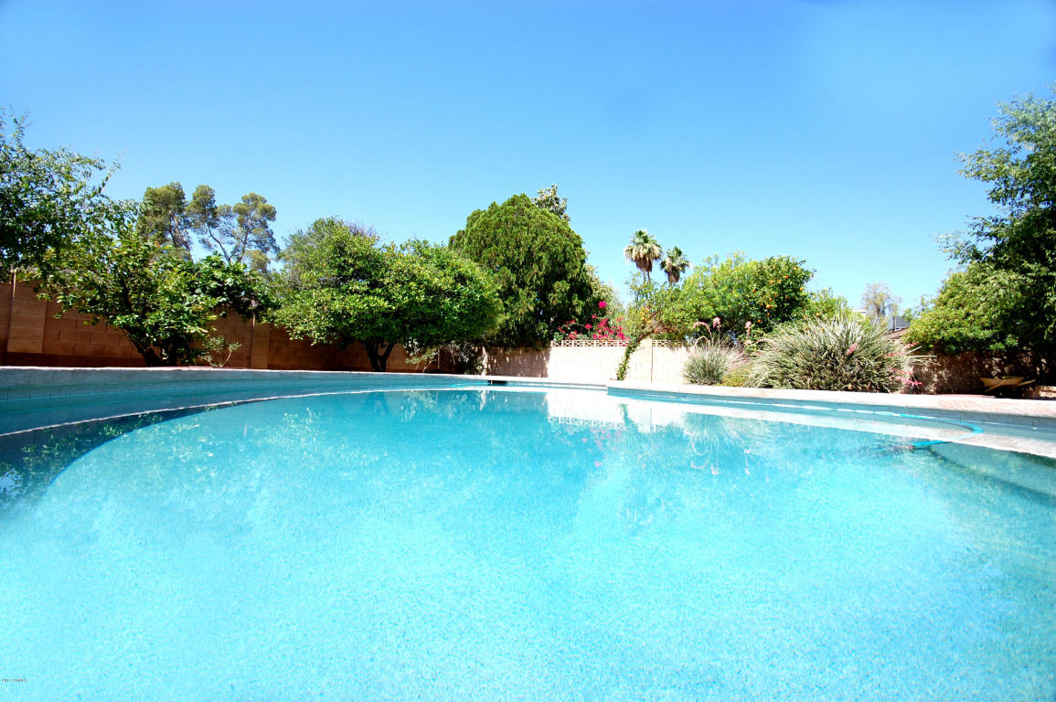 1709 E Huber St, Mesa, AZ 85203 photo 17