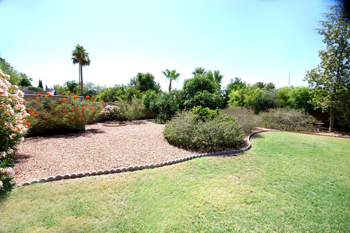 1709 E Huber St, Mesa, AZ 85203 photo 15