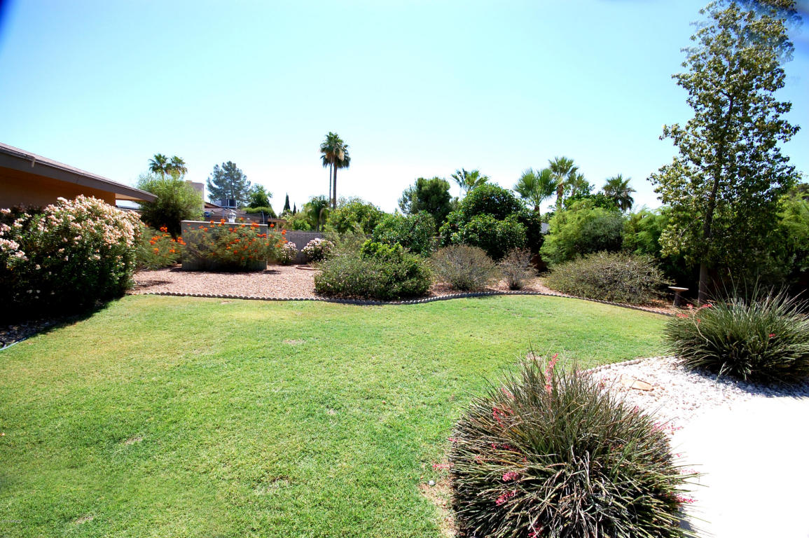 1709 E Huber St, Mesa, AZ 85203 photo 16