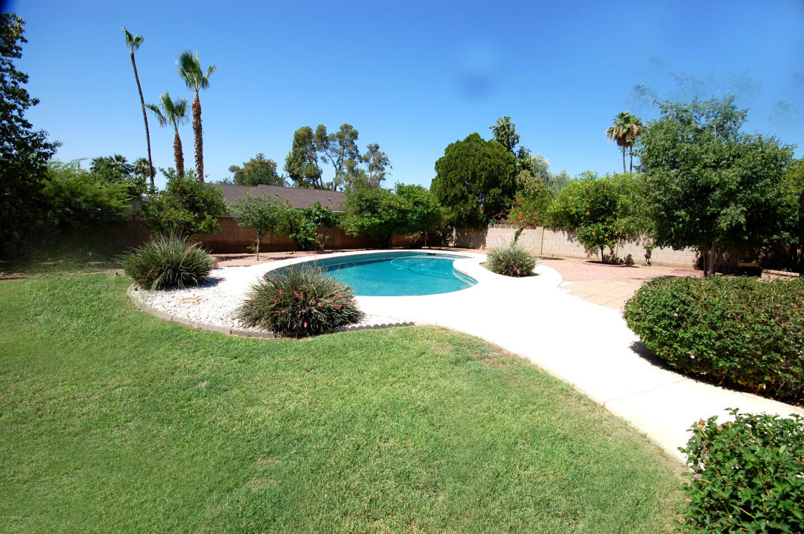 1709 E Huber St, Mesa, AZ 85203 photo 22