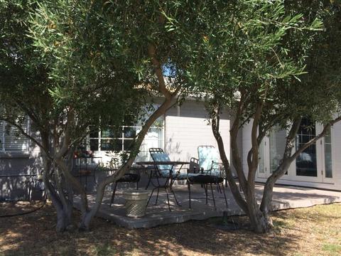 5220 N 33rd St, Phoenix, AZ 85018 photo 2