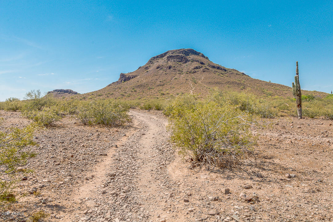 1834 E Redfield Rd, Phoenix, AZ 85022 photo 49