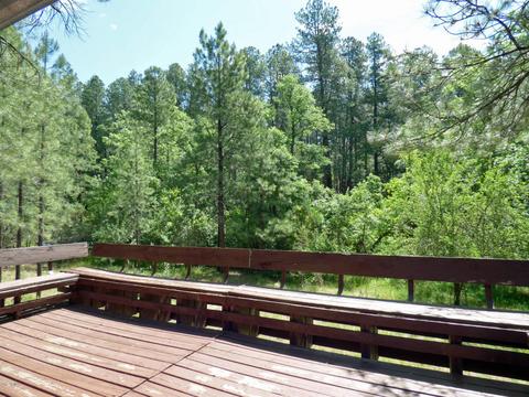 327 E Belluzzi Blvd, Payson, AZ 85541 photo 14