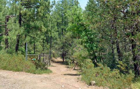 327 E Belluzzi Blvd, Payson, AZ 85541 photo 19