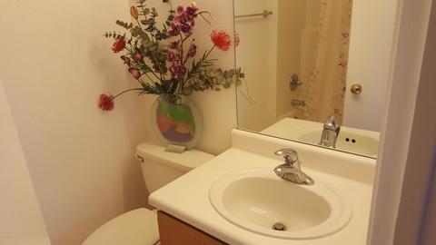 1178 W 3rd Ave, Apache Junction, AZ 85120 photo 4
