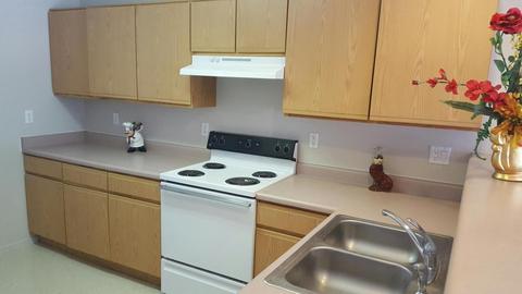 1178 W 3rd Ave, Apache Junction, AZ 85120 photo 7